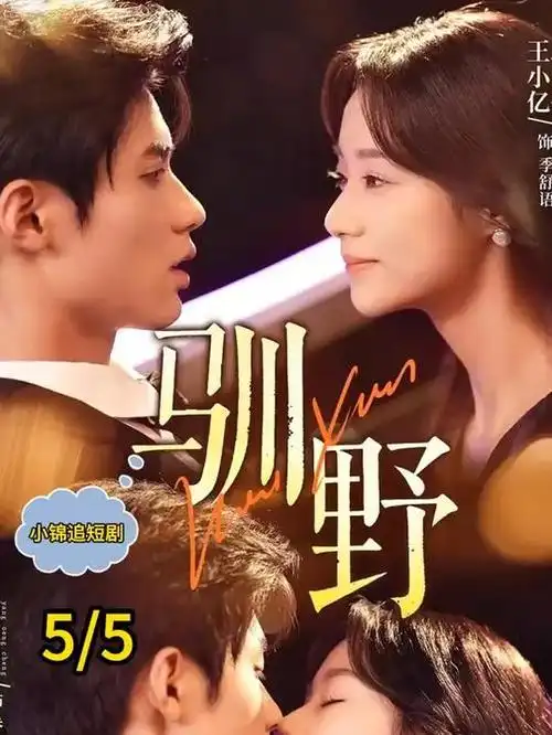 总裁的替身新娘 竖屏短剧免费观看